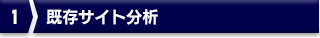 1 既存サイト分析